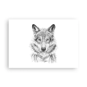 Poszter - Született vezető - 100x70 cm