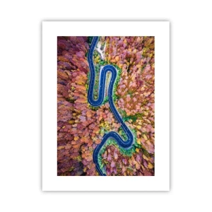 Poszter - Kanyargós út az erdőn keresztül - 30x40 cm