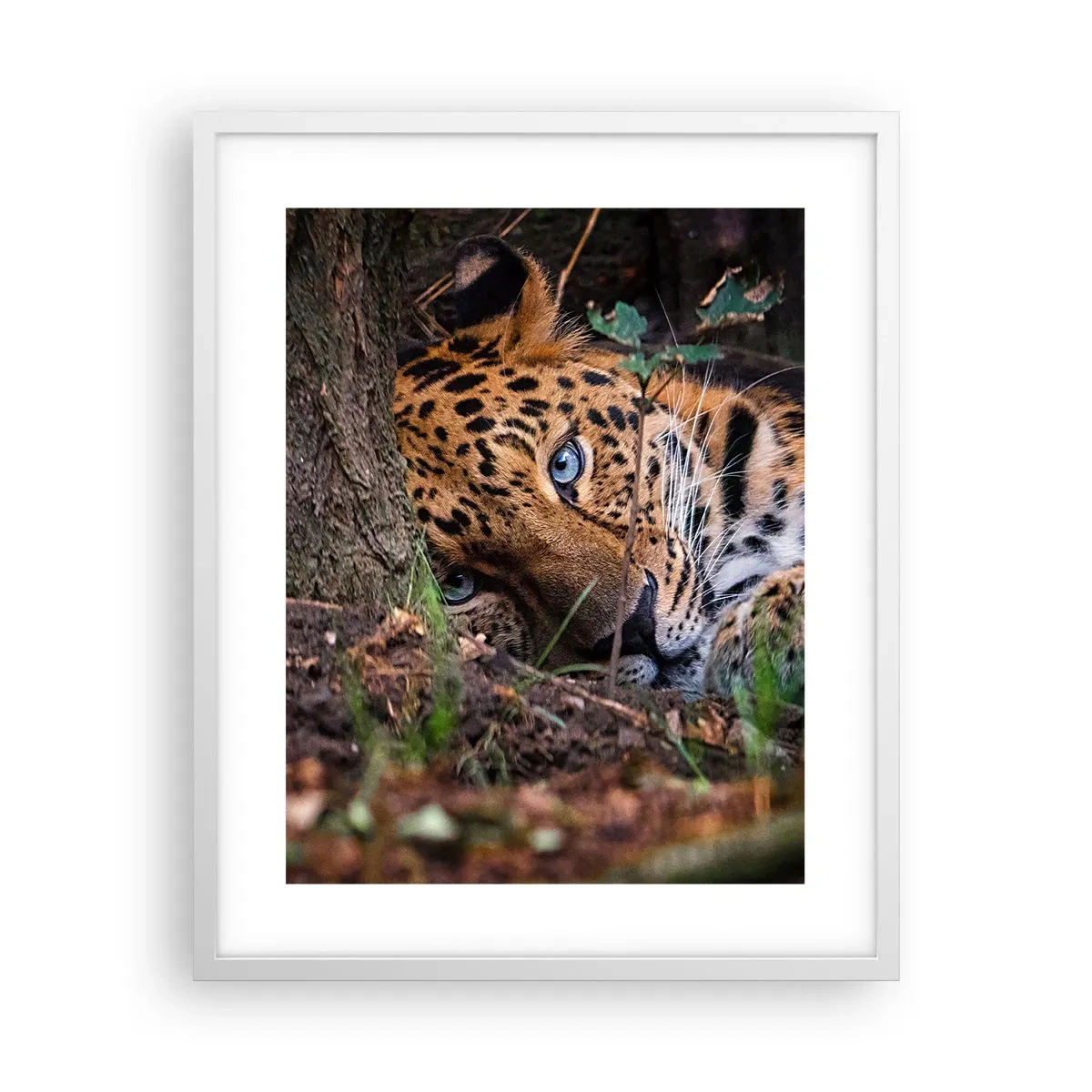 Poszter fekete keretben - Bízz bennem - 40x50 cm