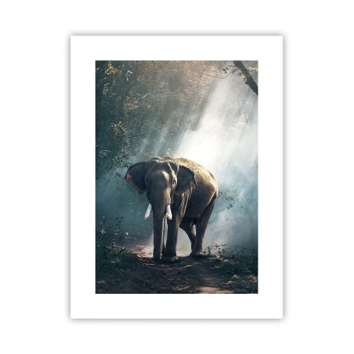 Poszter - Nyugodt séta - 30x40 cm