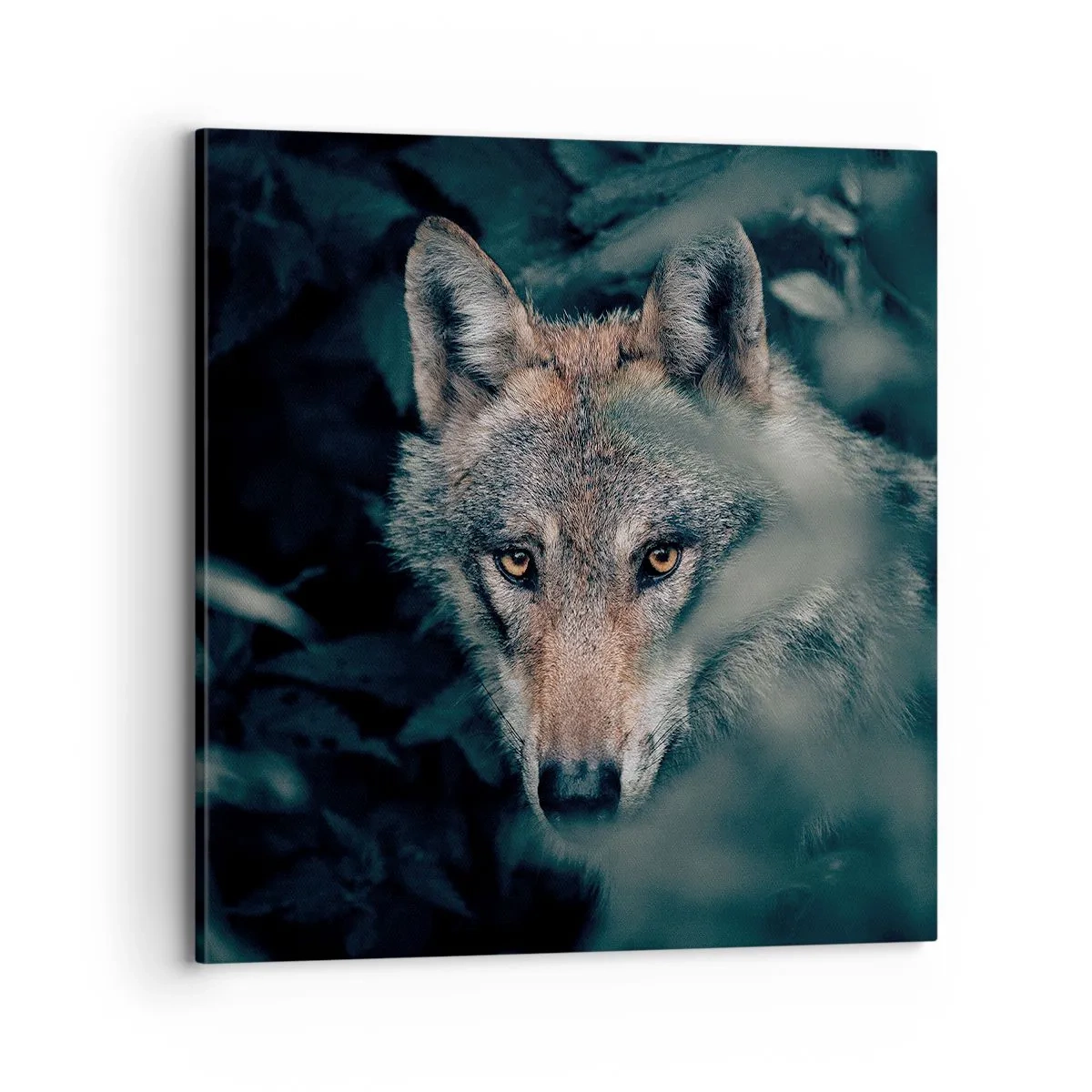 Vászonkép - Vadász - 70x70 cm