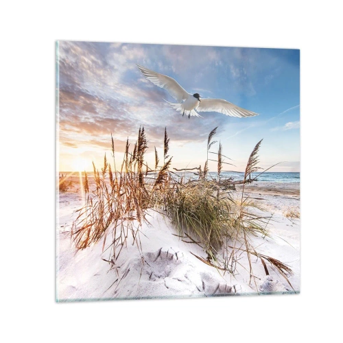 Üveg kép - A tengeri szél - 70x70 cm