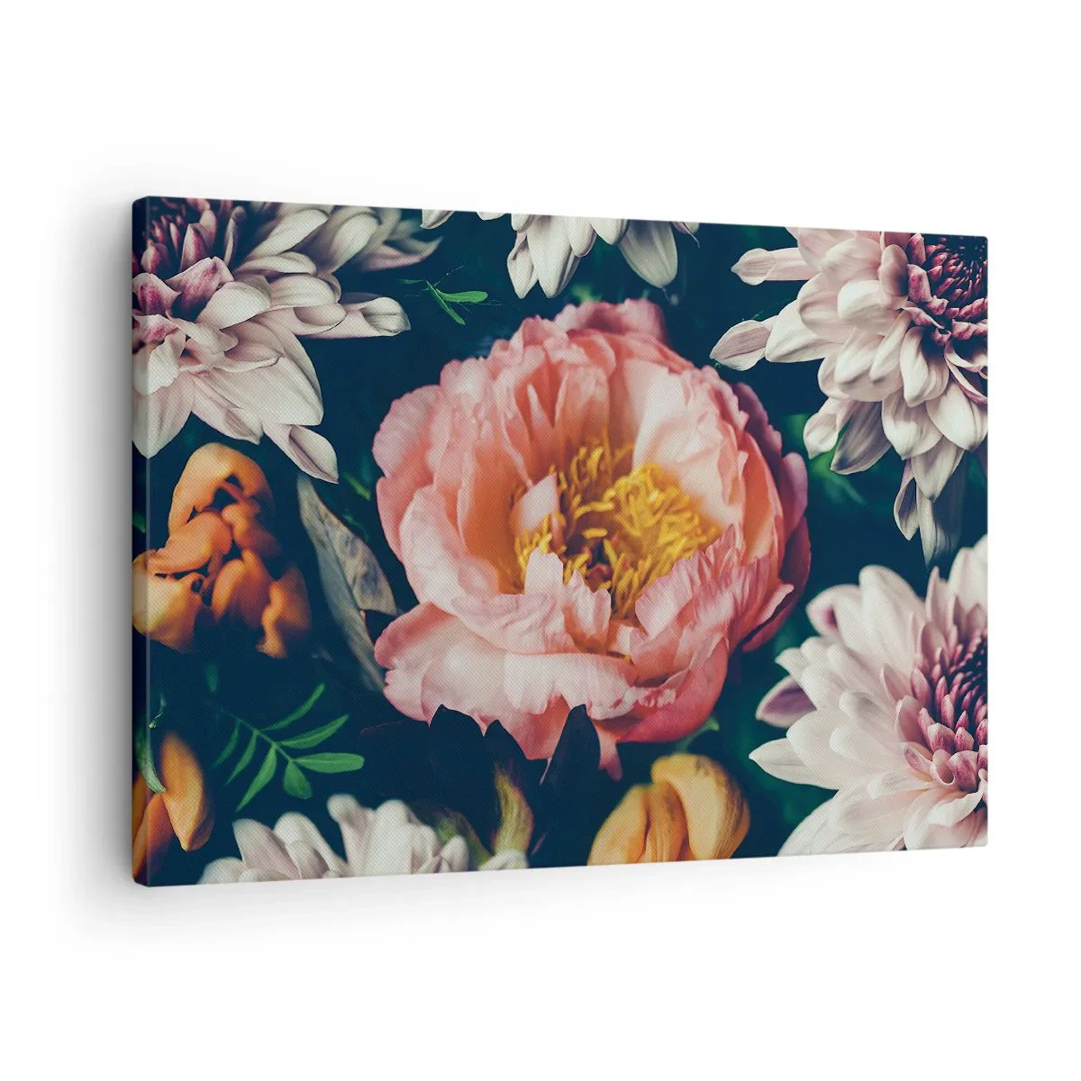 Vászonkép - Virágkötészet bazsarózsával és krizantémokkal sötét háttéren - 70x50cm - Barokk pompával - Modern fali dekoráció nappalihoz és hálószobához ARTTOR
