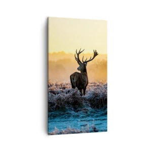 Vászonkép - Megkoronázott a birtokán - 45x80 cm