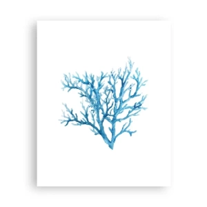 Poszter - Tengeri filigrán - 40x50 cm