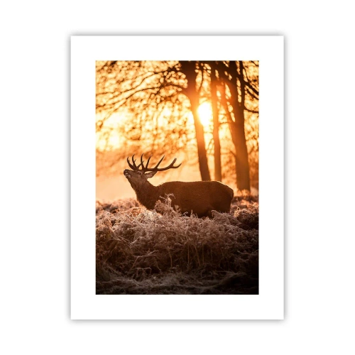 Poszter - Vadász álma - 30x40 cm