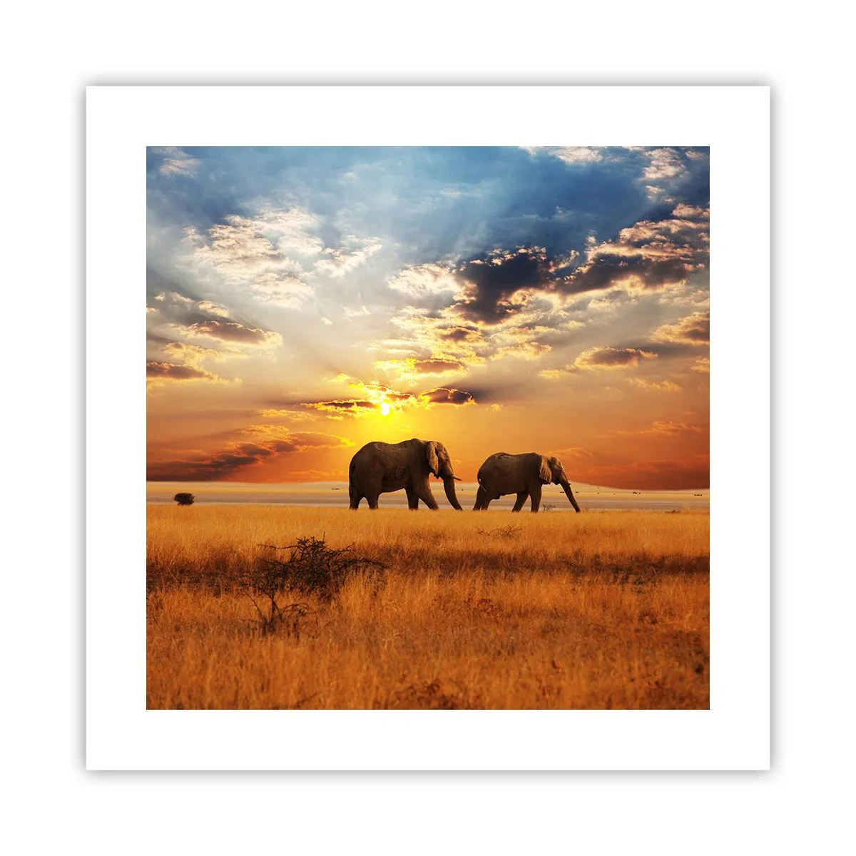 Poszter - Családi séta - 40x40 cm