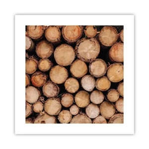 Poszter - Egy új kezdet - 40x40 cm