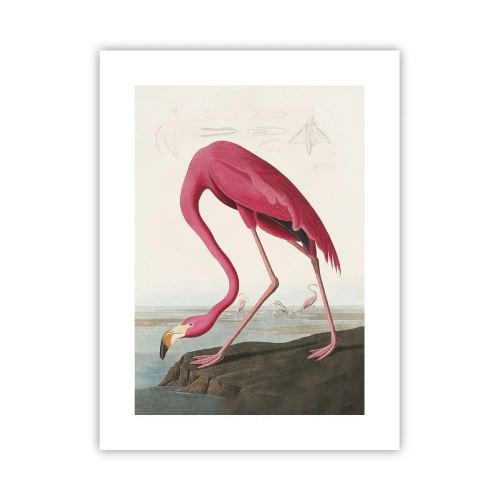 Poszter - Csodálatos teremtmény - 30x40 cm