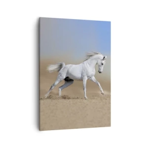 Vászonkép - A legszebb arab tündérmese - 50x70 cm