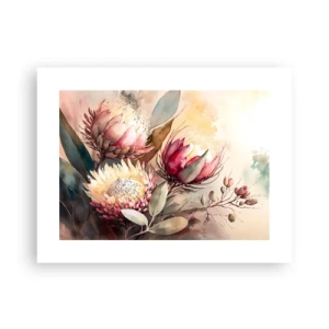 Poszter - Profilból és en face - 40x30 cm