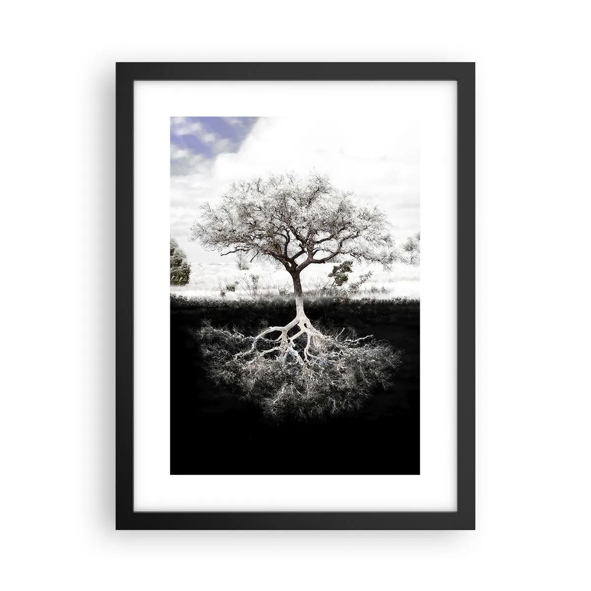 Poszter fehér keretben - A világ természetének felfedezése - 30x40 cm