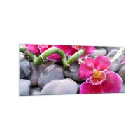 120x50 cm | Panoramikus