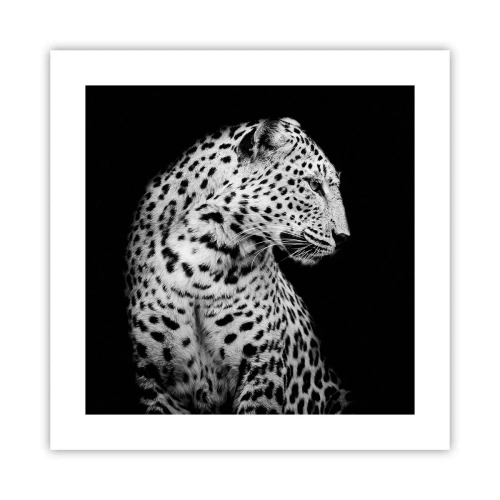 Poszter - Tökéletes jobb profil! - 40x40 cm