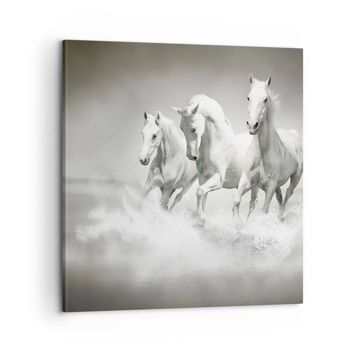 Vászonkép - Fehér őrület - 60x60 cm