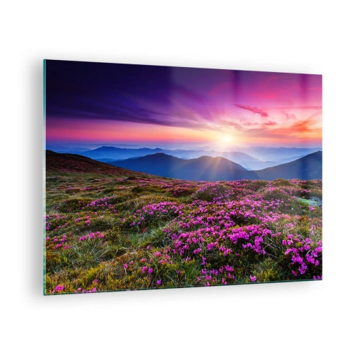 Üveg kép - Hegyi táj naplementekor, heath - 70x50cm - A gyógynövények friss fürtjei illatoztak a mezőkről - Modern fali dekoráció nappalihoz és hálószobához ARTTOR