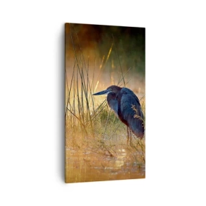 Vászonkép - Hagyjatok békén ezekkel a fotókkal - 45x80 cm