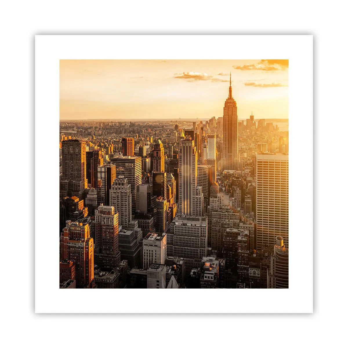 Poszter - Növekedni a napon - 40x40 cm