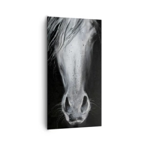 Vászonkép - Csábító pillantás - 65x120 cm