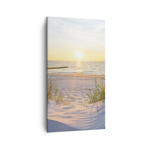 Vászonkép - A tenger hangja, a madarak éneke, egy vad tengerpart a fű között... - 45x80 cm