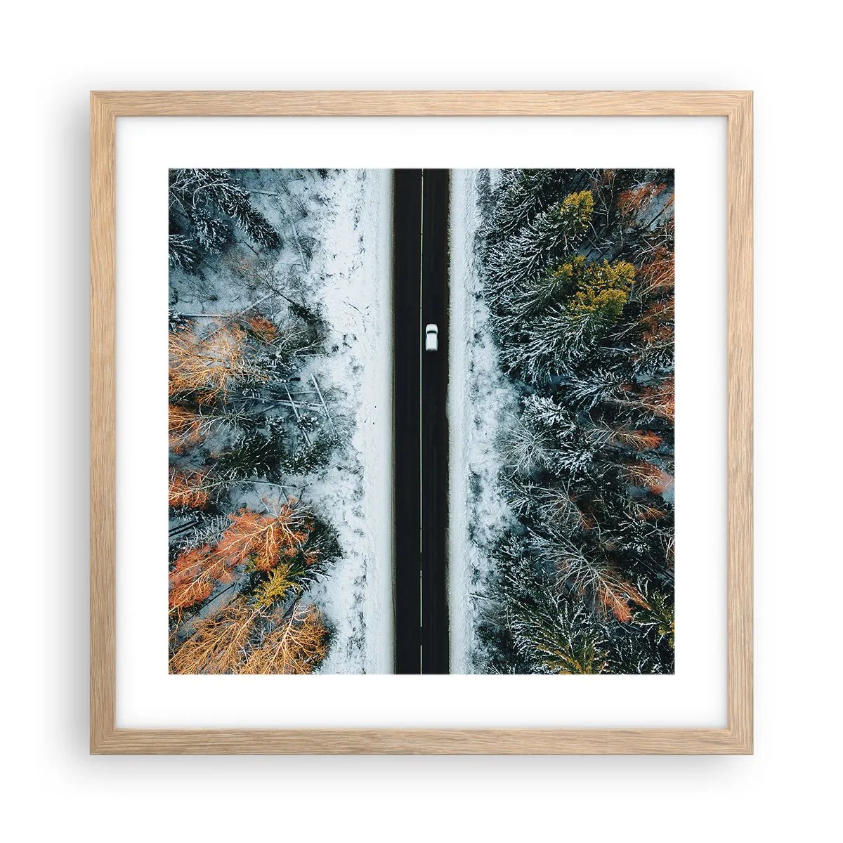Poszter világos tölgy keretben - Átvágni a téli erdőn - 40x40 cm