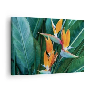 Vászonkép - Egzotikus strelitzia virágok zöld levelekkel körülvéve - 70x50cm - Virág vagy madár? - Modern fali dekoráció nappalihoz és hálószobához ARTTOR