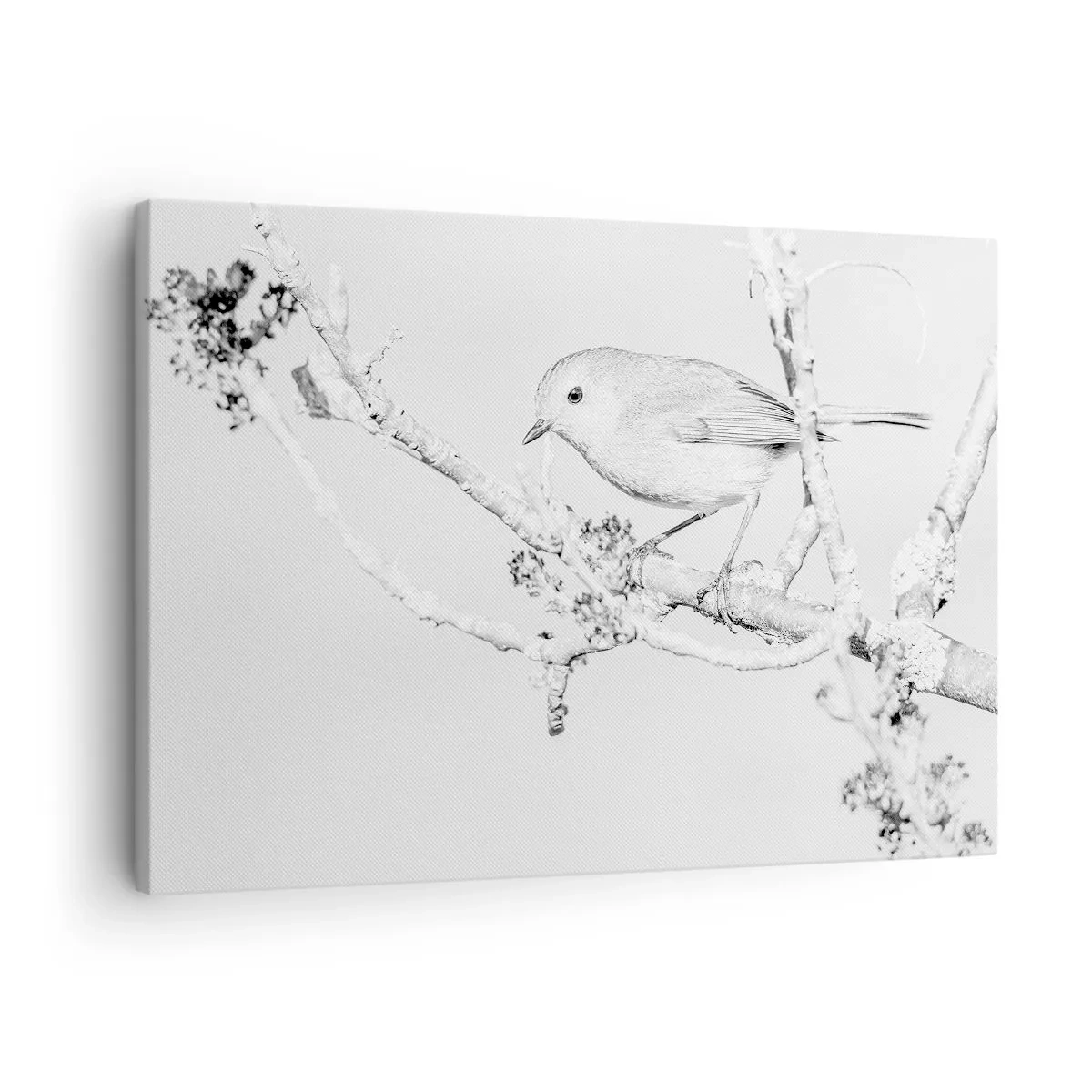 Vászonkép - Madár egy ágon fekete-fehérben, minimalista stílusban - 70x50cm - Téli reggel - Modern fali dekoráció nappalihoz és hálószobához ARTTOR