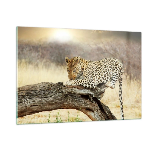 Üveg kép - A magam útjait járom - 120x80 cm