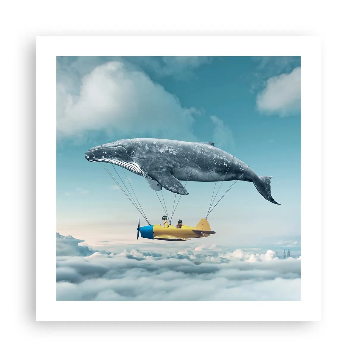 Poszter - Miért is ne? - 50x50 cm