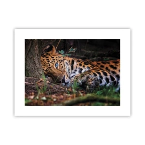 Poszter - Bízz bennem - 40x30 cm