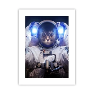 Poszter - Houston, baj van - 30x40 cm