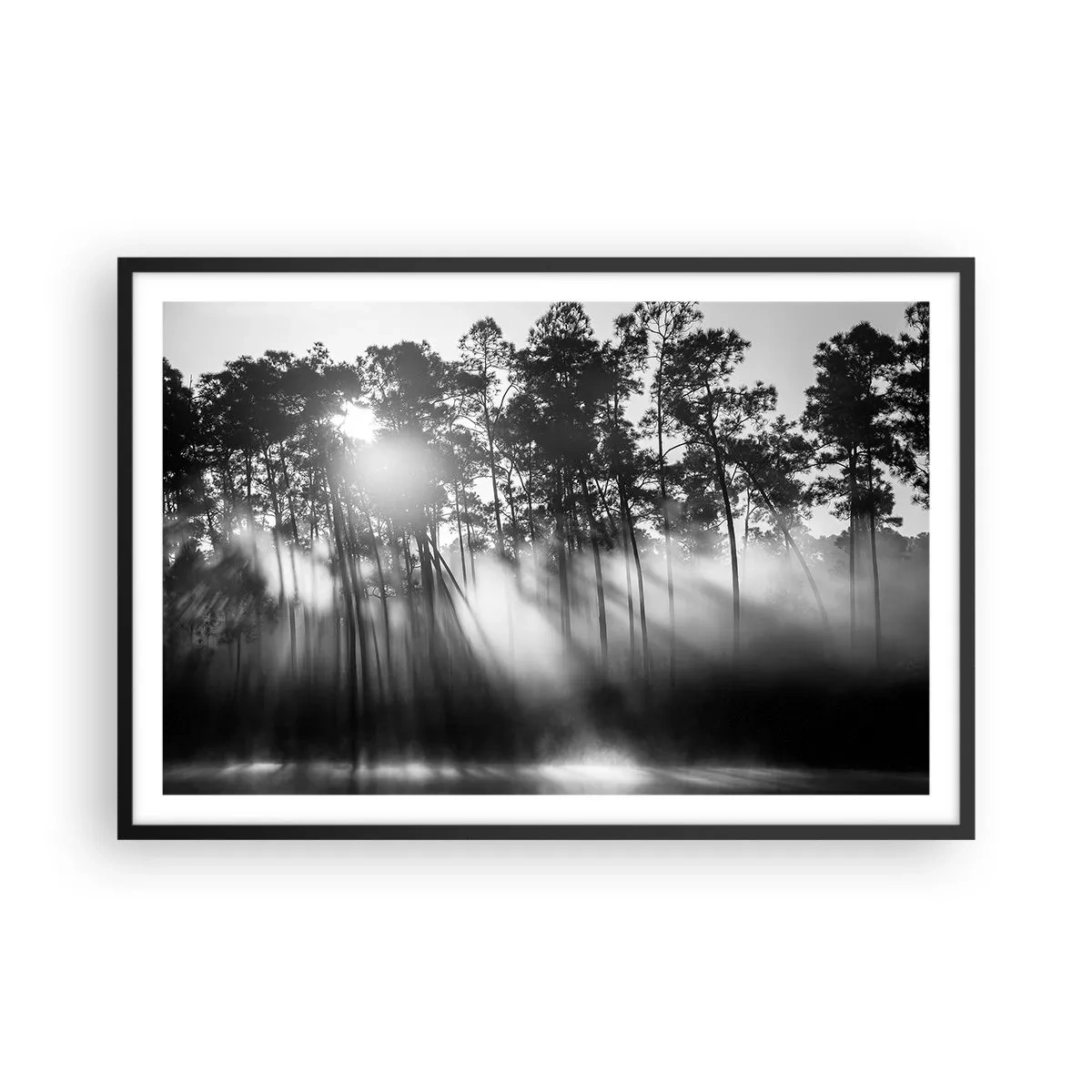 Poszter fehér keretben - Megállíthatatlan nap - 91x61 cm