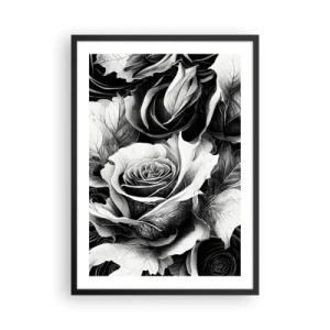 Poszter fehér keretben - Fekete-fehér rózsák kompozíciója kifejező fény-árnyékkal - 50x70cm - Mindig a királynő - Modern fali dekoráció nappalihoz és hálószobához ARTTOR