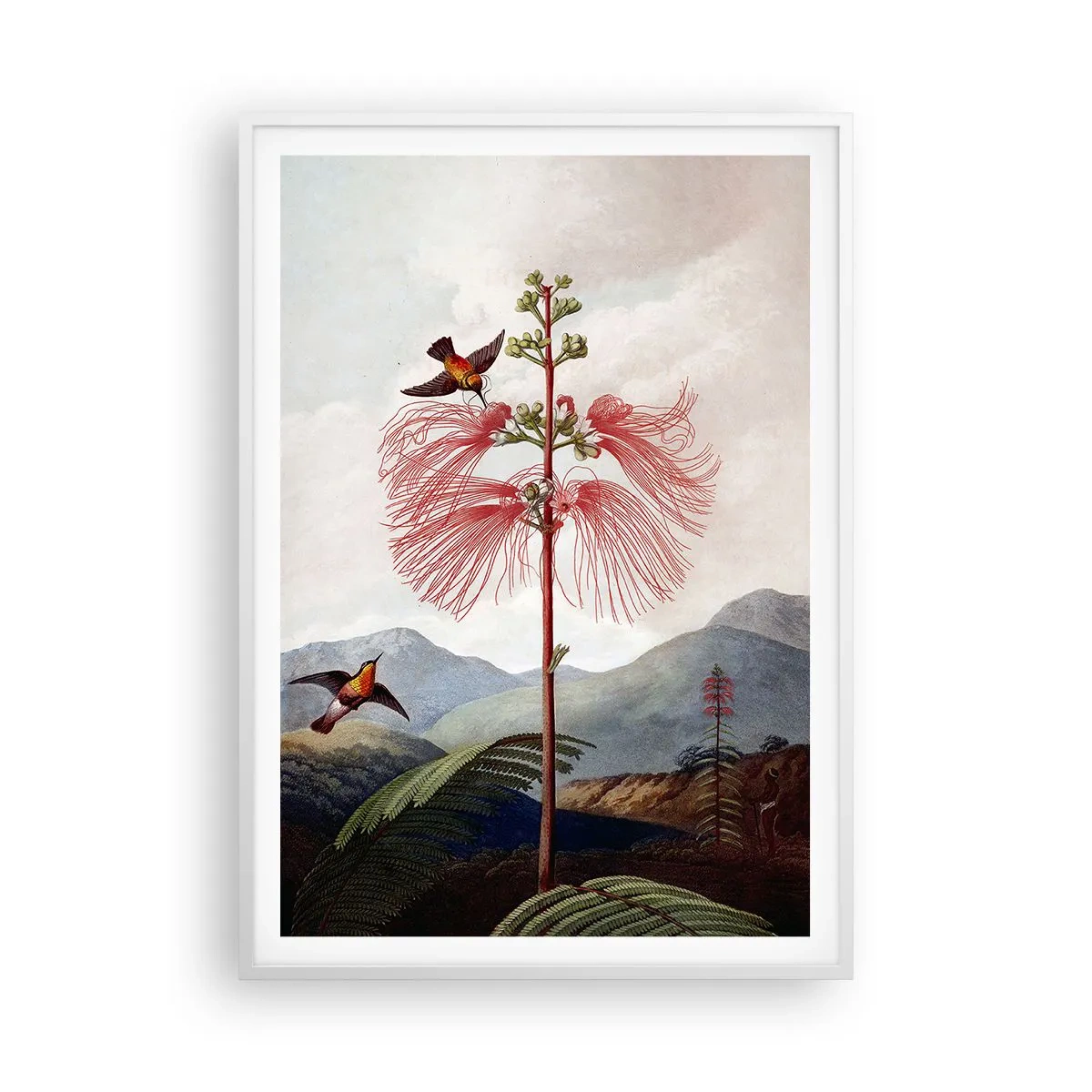 Poszter fekete keretben - Egy trópusi paradicsomban - 70x100 cm