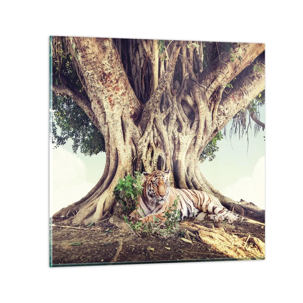 Üveg kép - Kilátás a Genezis könyvéből - 40x40 cm