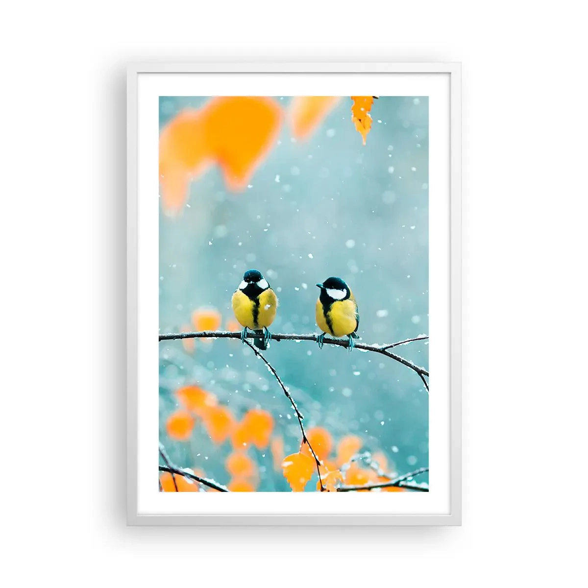 Poszter fekete keretben - Madárpletykák - 50x70 cm