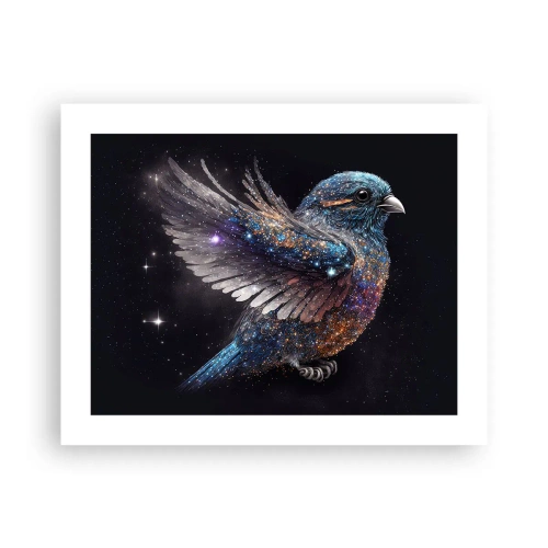 Poszter - Gyémánt veréb - 50x40 cm
