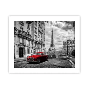 Poszter - Ragadozó a városban - 50x40 cm