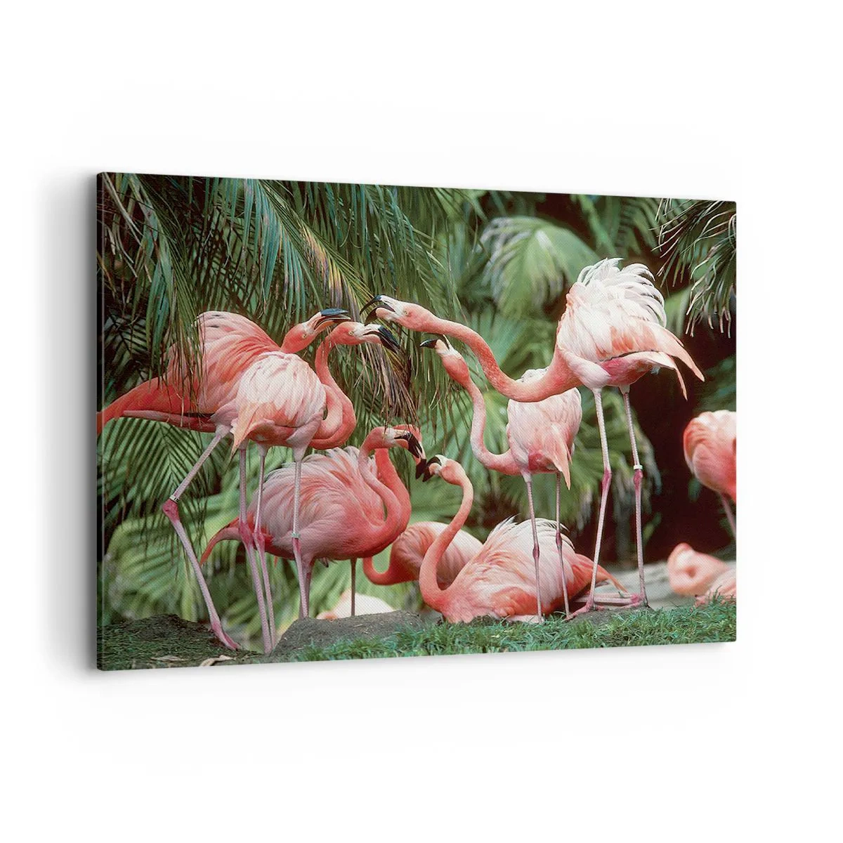 Vászonkép - Délutáni pletyka - 100x70 cm