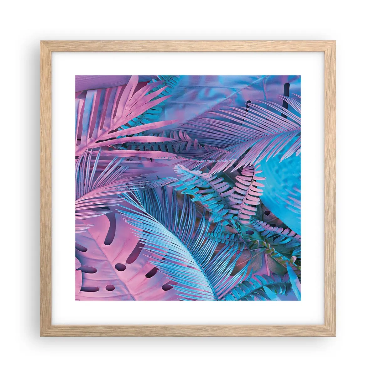 Poszter világos tölgy keretben - Trópusok rózsaszínben és kékben - 40x40 cm