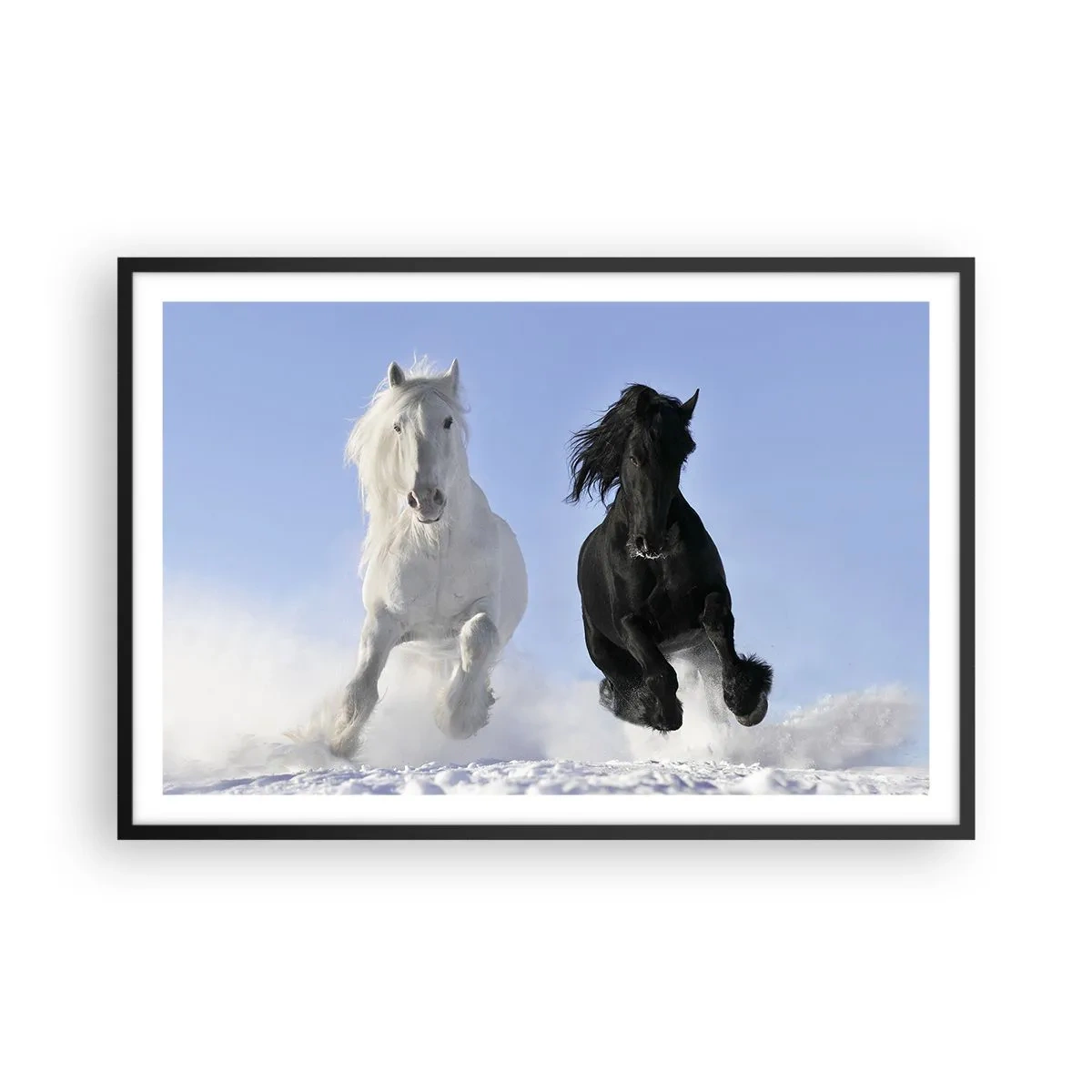 Poszter fehér keretben - Fekete-fehér galopp - 91x61 cm
