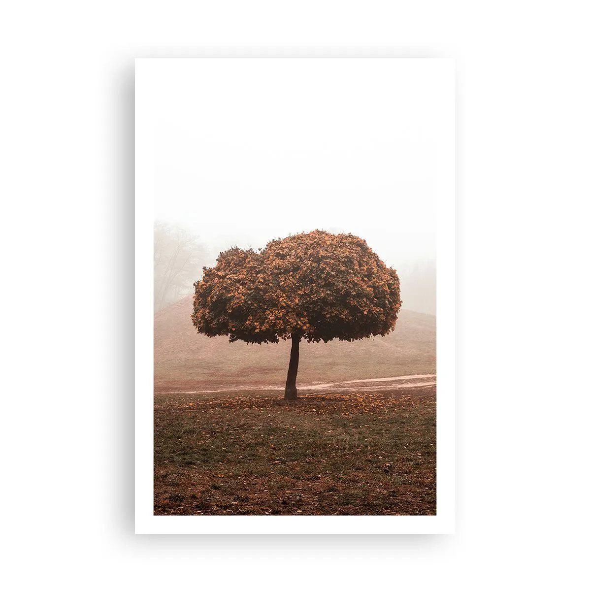 Poszter - Egy mozgalmas nyár után - 61x91 cm