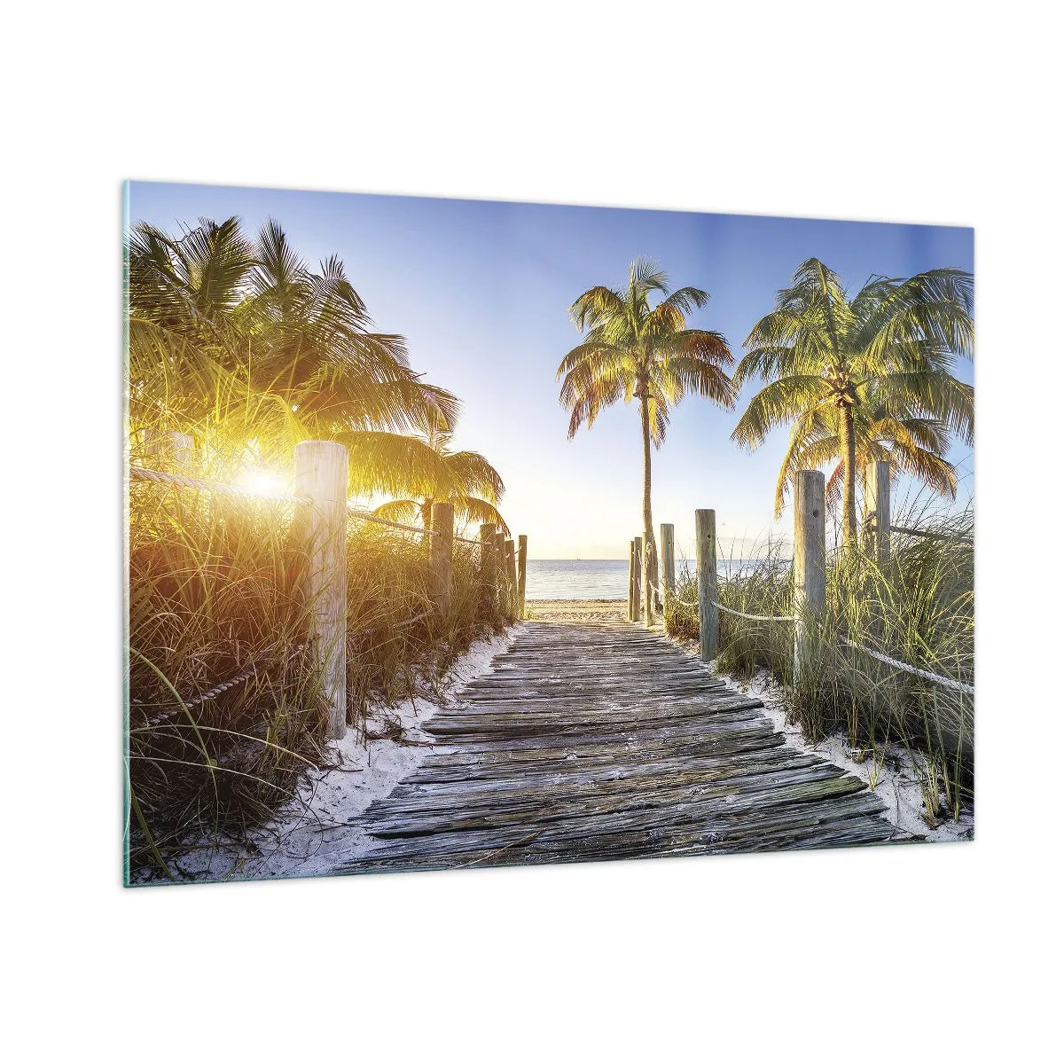 Üveg kép - Egyenesen a paradicsomba - 100x70 cm