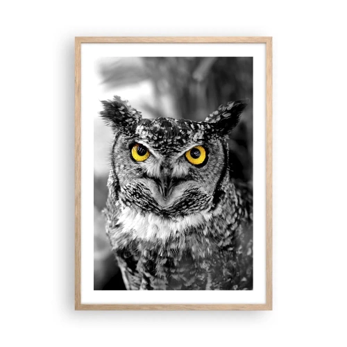 Poszter világos tölgy keretben - Semmi sem fog elbújni - 50x70 cm