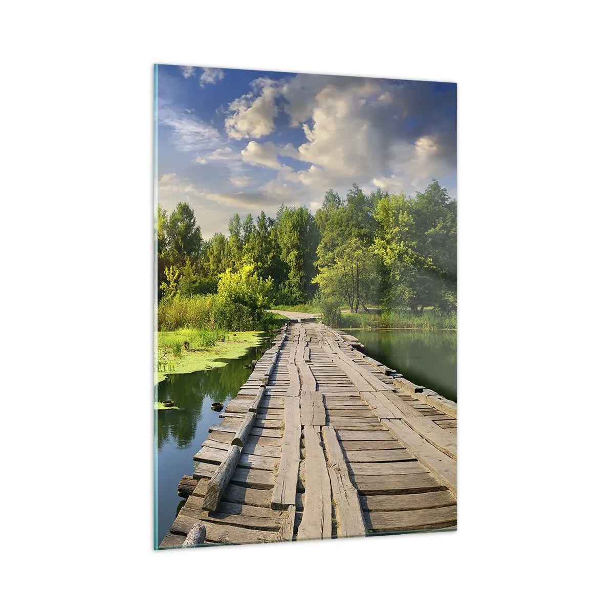 Üveg kép - Nyár, mindenhol nyár - 50x70 cm