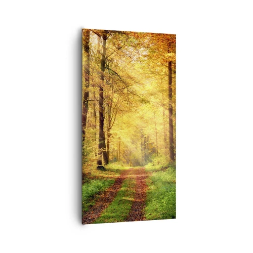 Vászonkép - Erdei, arany csend - 65x120 cm