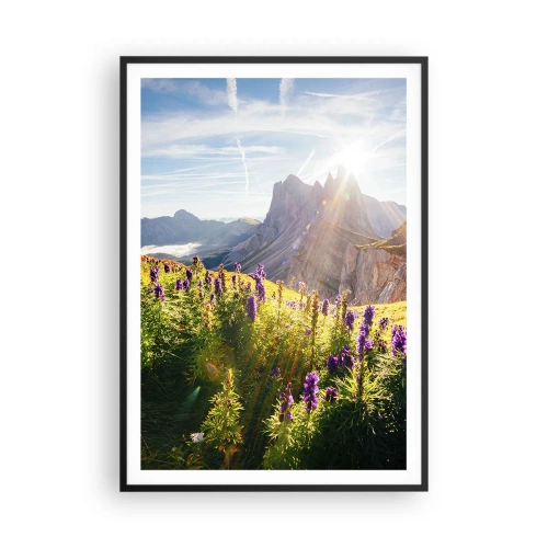 Poszter fehér keretben - A gyógynövények titkos élete - 70x100 cm