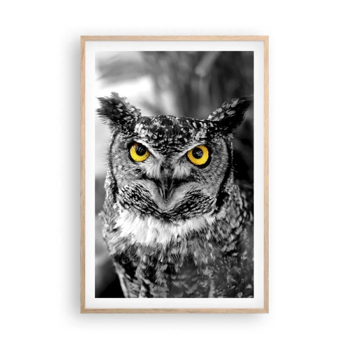 Poszter világos tölgy keretben - Semmi sem fog elbújni - 61x91 cm