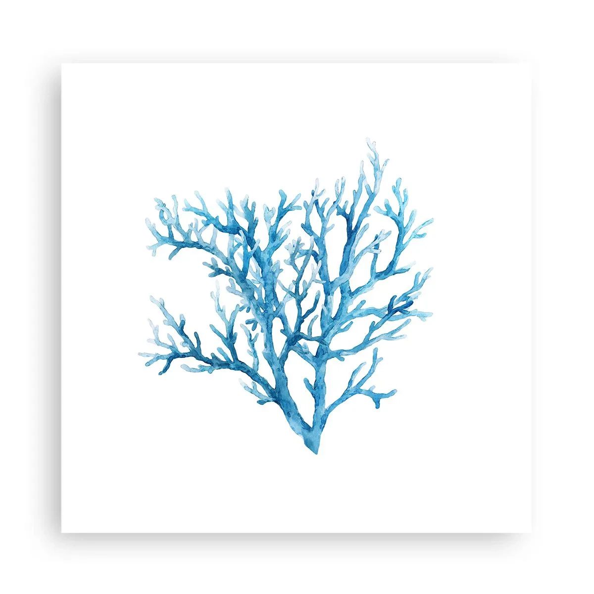 Poszter - Tengeri filigrán - 30x30 cm