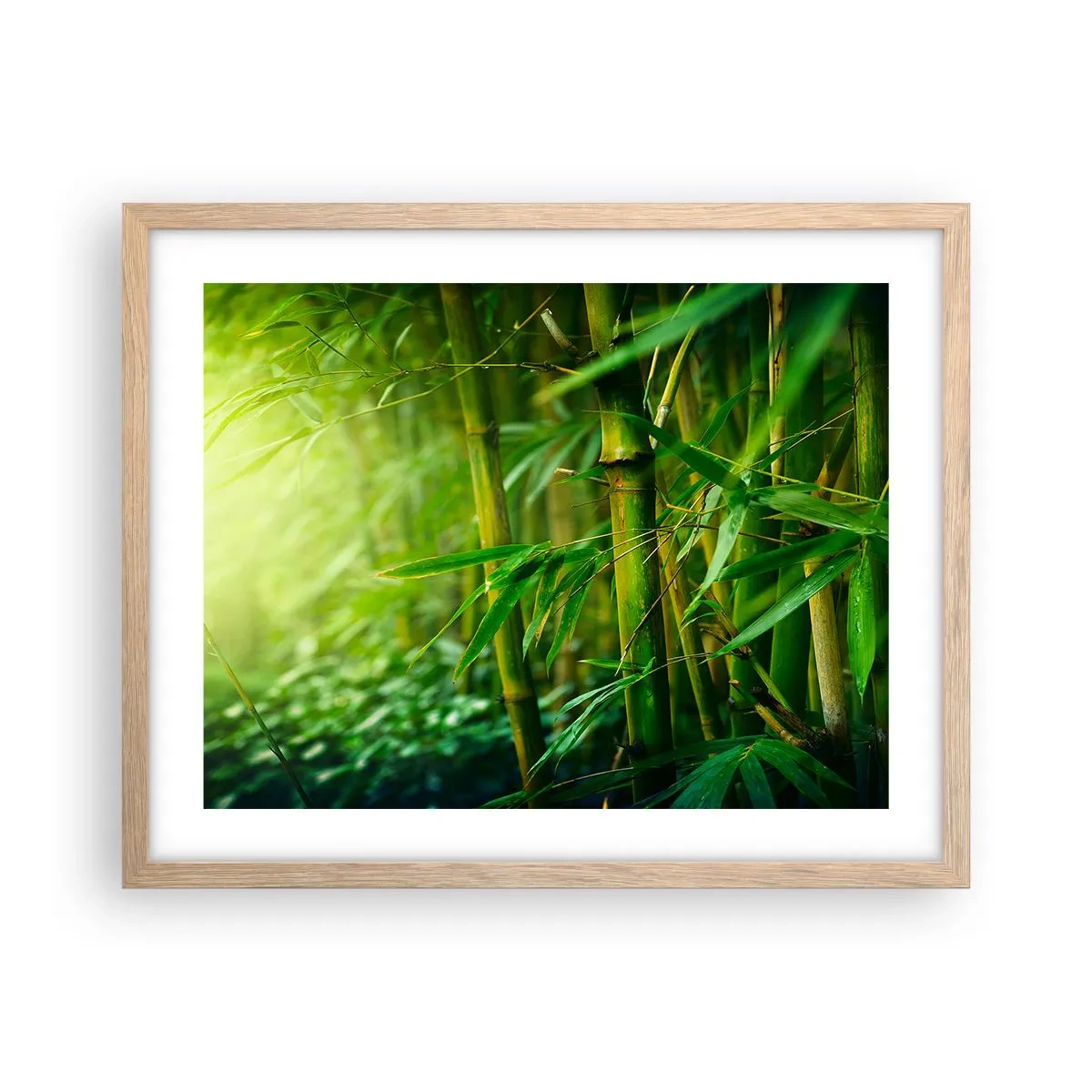 Poszter világos tölgy keretben - Megismerni magát a zöldet - 50x40 cm
